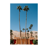 wall-art-print-canvas-poster-framed-Two Palms-1