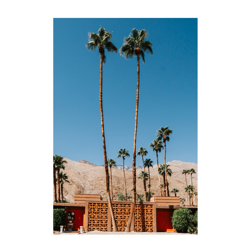 wall-art-print-canvas-poster-framed-Two Palms-1