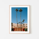 wall-art-print-canvas-poster-framed-Two Palms-6