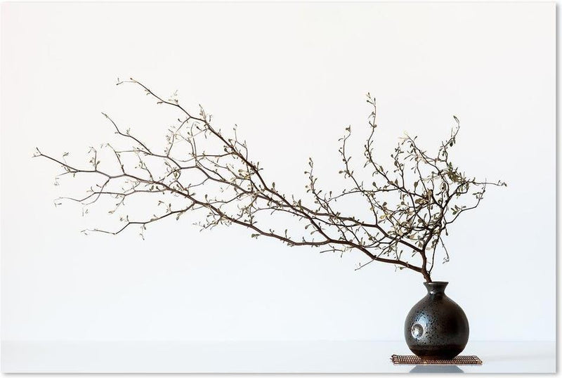 wall-art-print-canvas-poster-framed-Vase And Branch, By Prbimages-by-Plus X Studio-Gioia Wall Art
