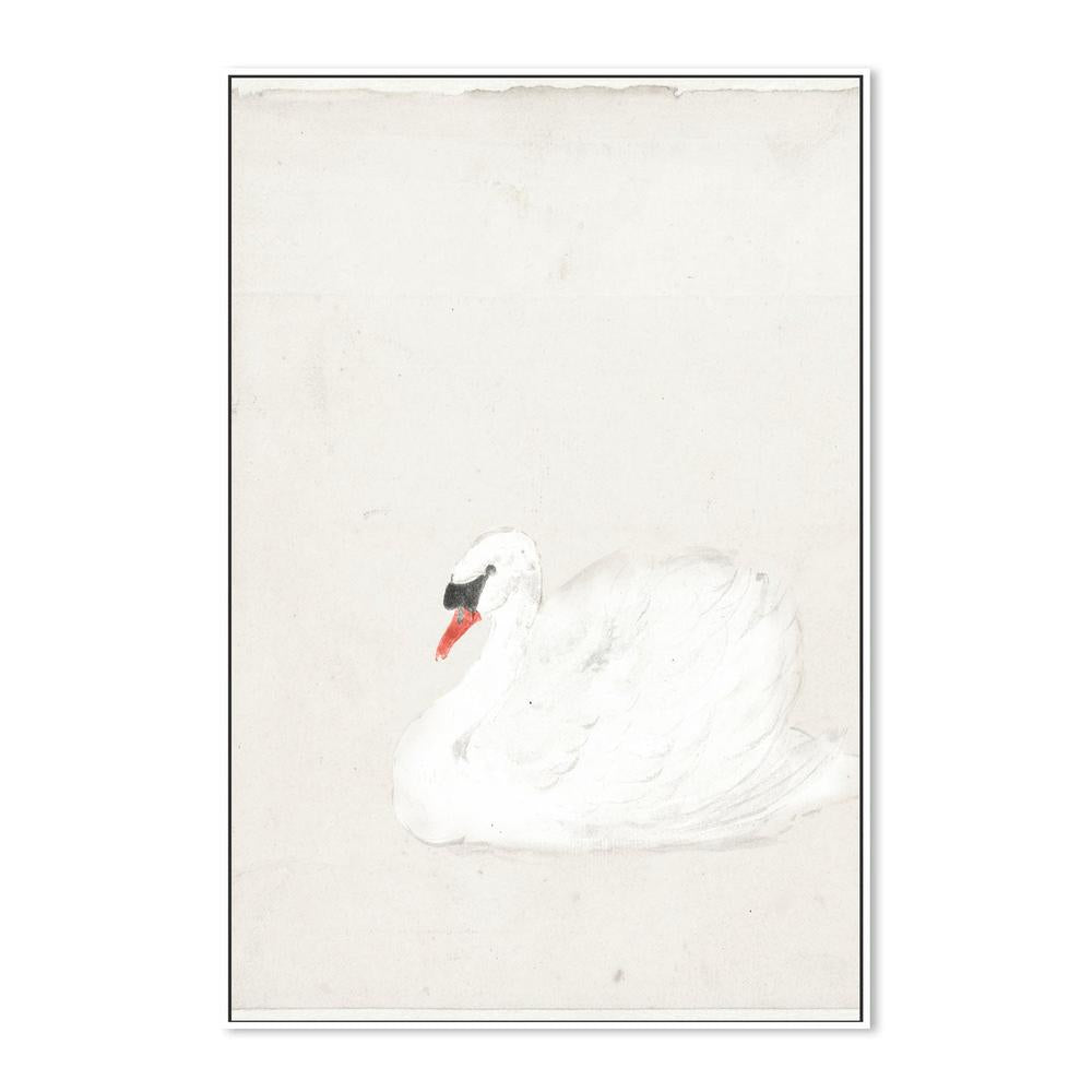 wall-art-print-canvas-poster-framed-Vintage Swan Illustration , By Leah Straatsma-5