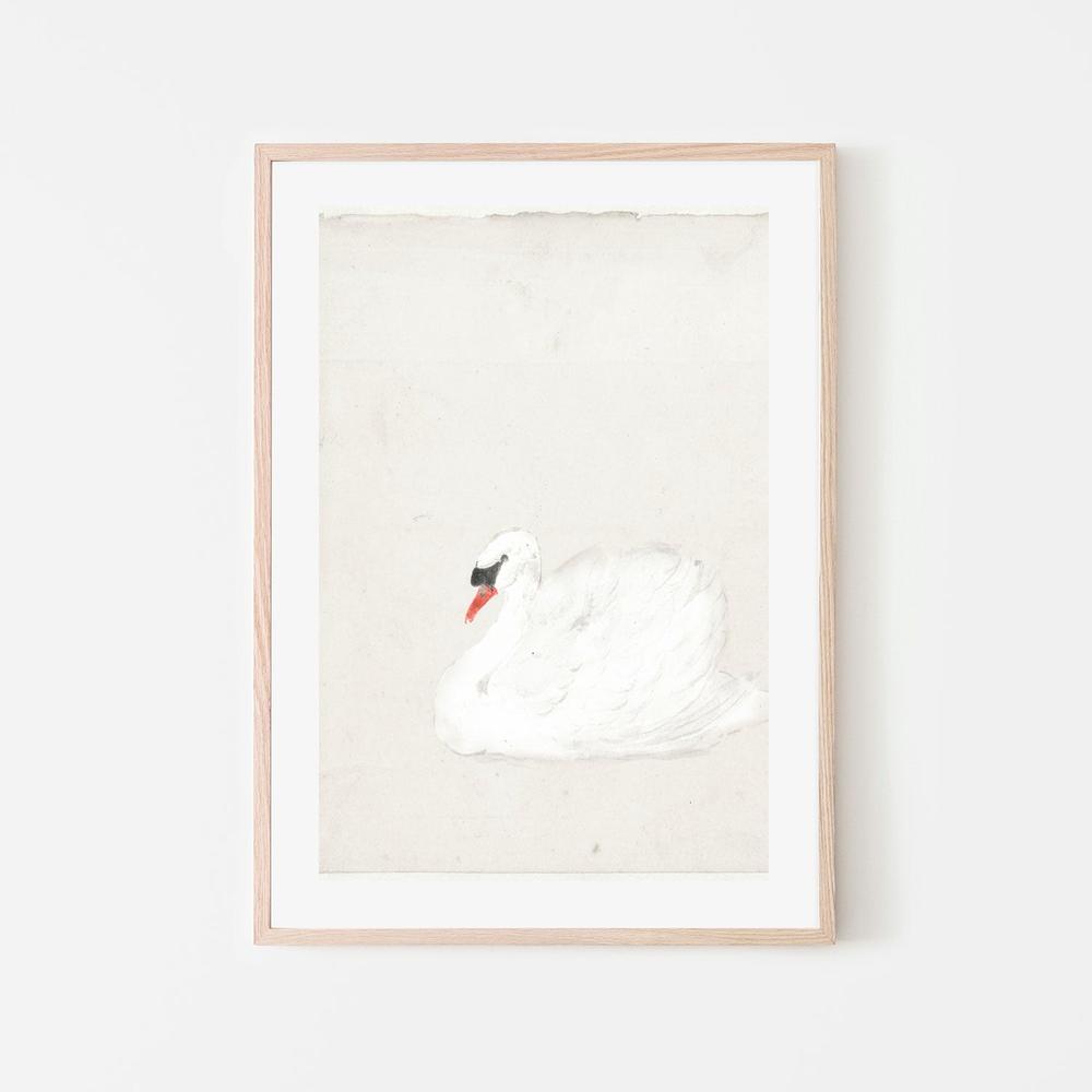 wall-art-print-canvas-poster-framed-Vintage Swan Illustration , By Leah Straatsma-6