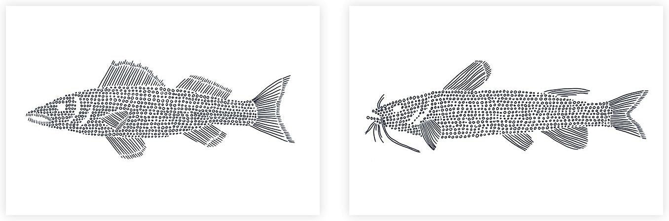 wall-art-print-canvas-poster-framed-Wall Eye-Cat Fish, Set Of 2 , By Jetty Home , By Jetty Home-1