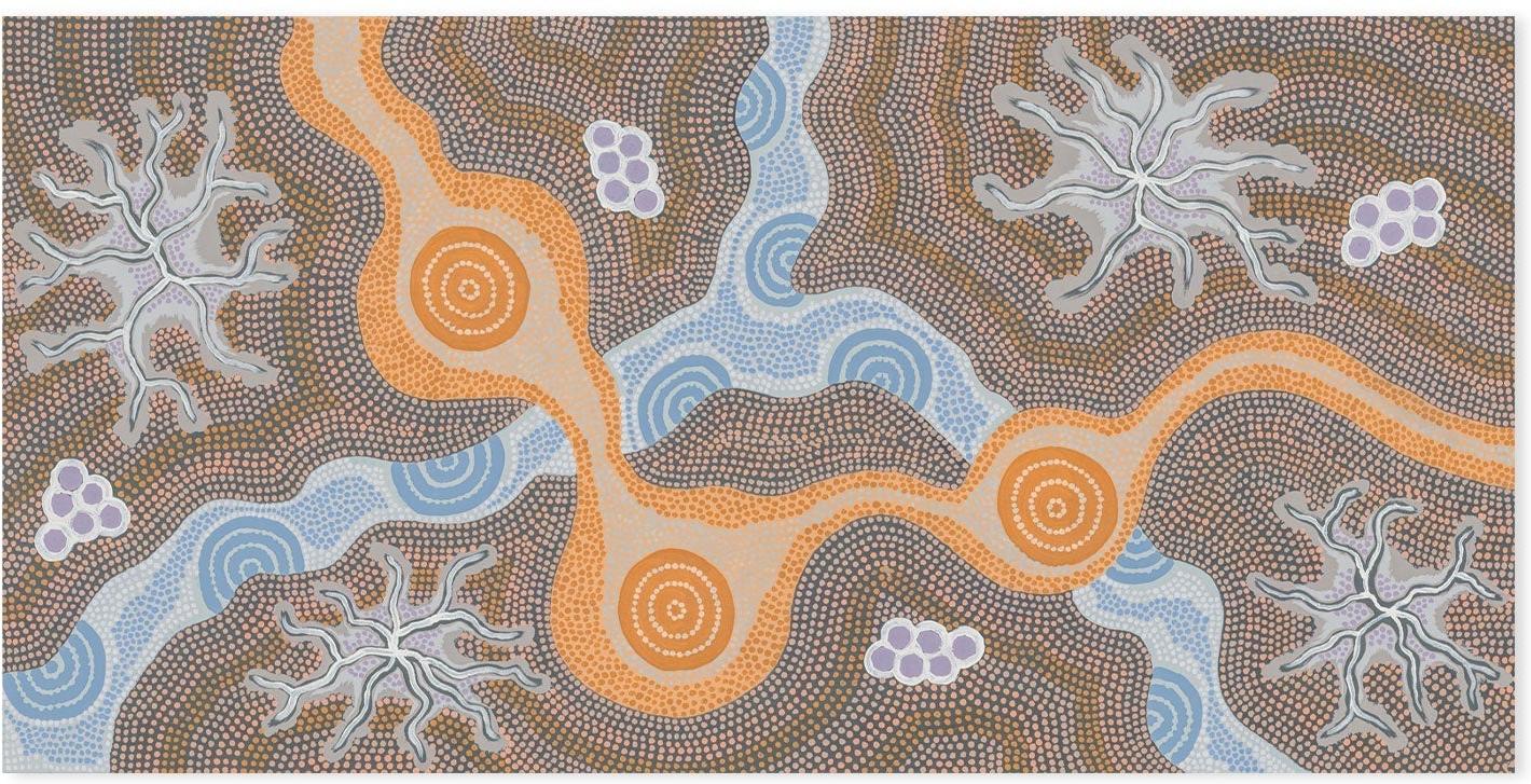 Water Soakage Style B By Azeza Possum Aboriginal Painting Print