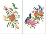 wall-art-print-canvas-poster-framed-Watercolour Bouquet, Banksias,Protea Leaves, Eucalyptus, Parrot And Cockatoo, Set Of 2-by-Gioia Wall Art-Gioia Wall Art