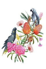 wall-art-print-canvas-poster-framed-Watercolour Bouquet, Banksias,Protea Leaves, Eucalyptus, Parrot And Cockatoo, Set Of 2-by-Gioia Wall Art-Gioia Wall Art