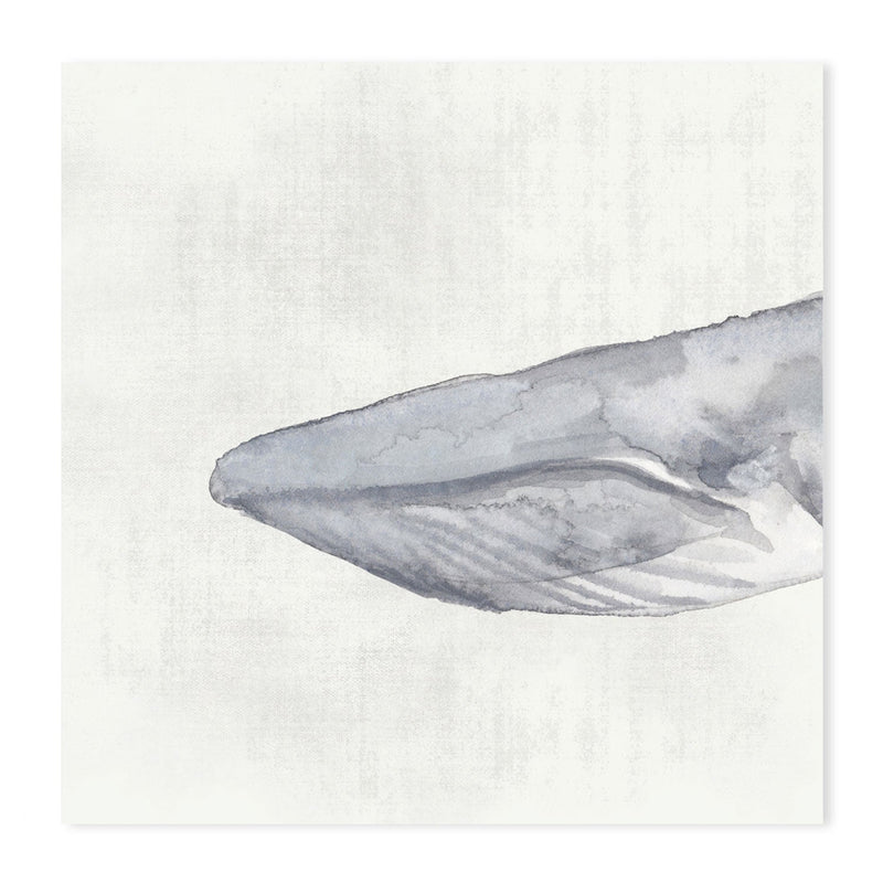 wall-art-print-canvas-poster-framed-Whale, Set Of 3 , By Emily Wood , By Emily Wood-GIOIA-WALL-ART