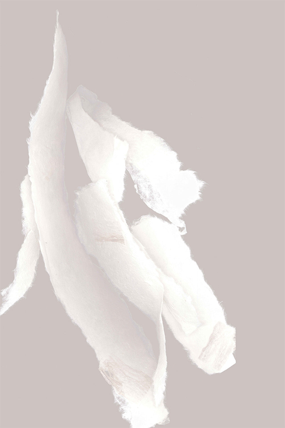 wall-art-print-canvas-poster-framed-Whispering Paper, Style A-1