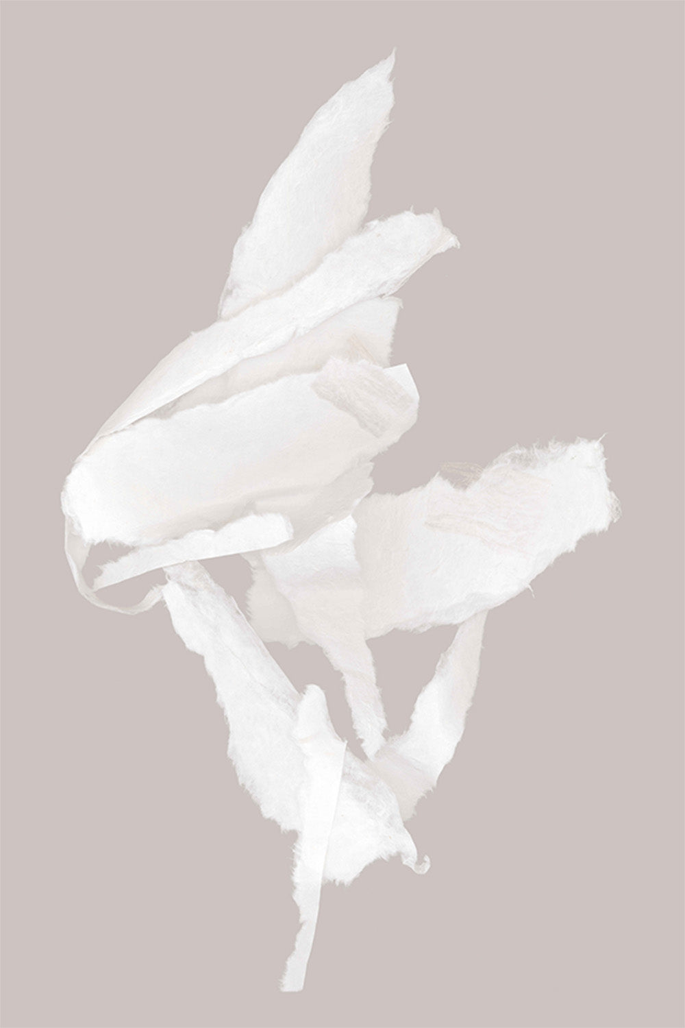 wall-art-print-canvas-poster-framed-Whispering Paper, Style B-1