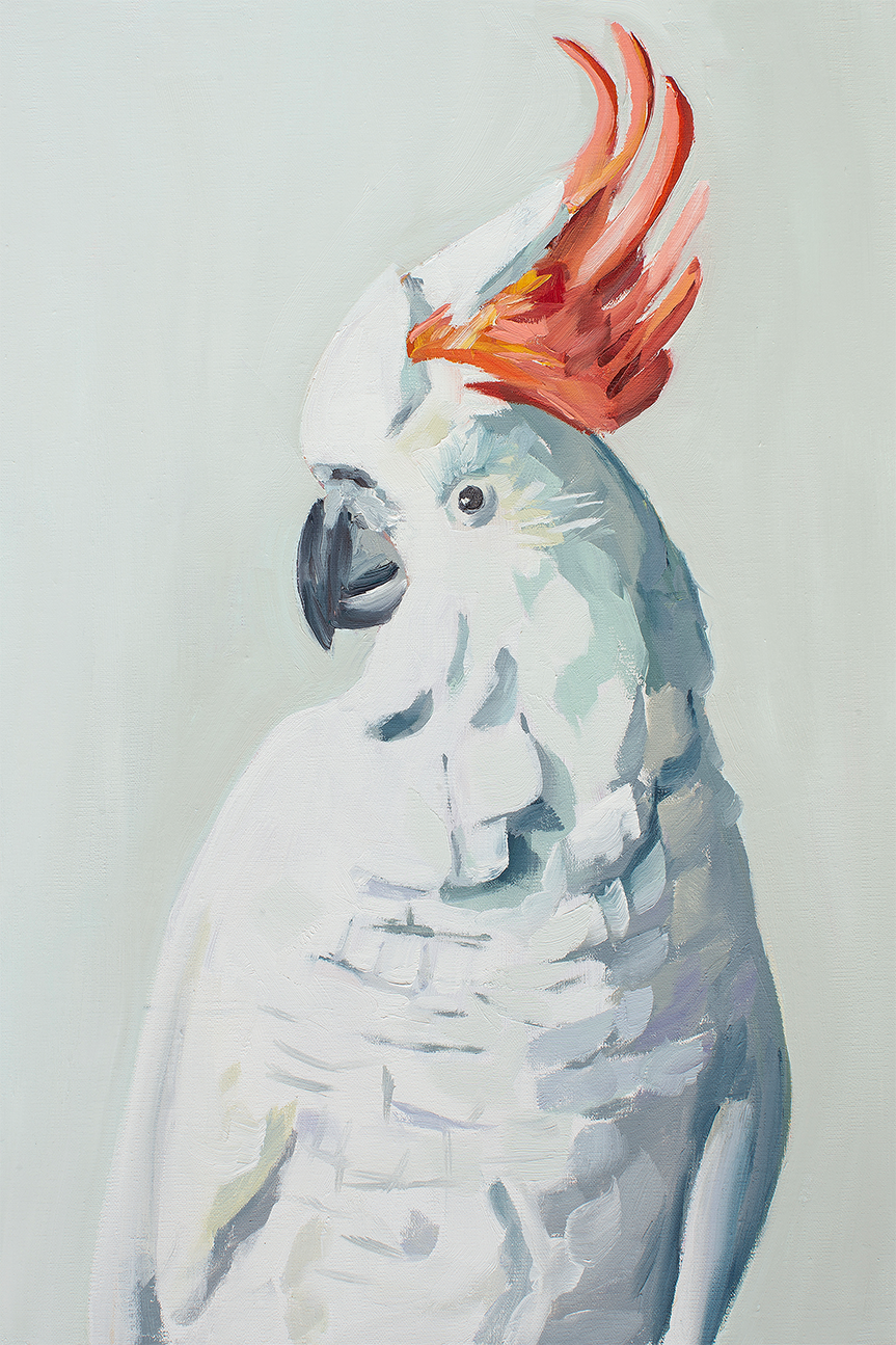 wall-art-print-canvas-poster-framed-White Cockadoo , By Jenny Westenhofer Art-1