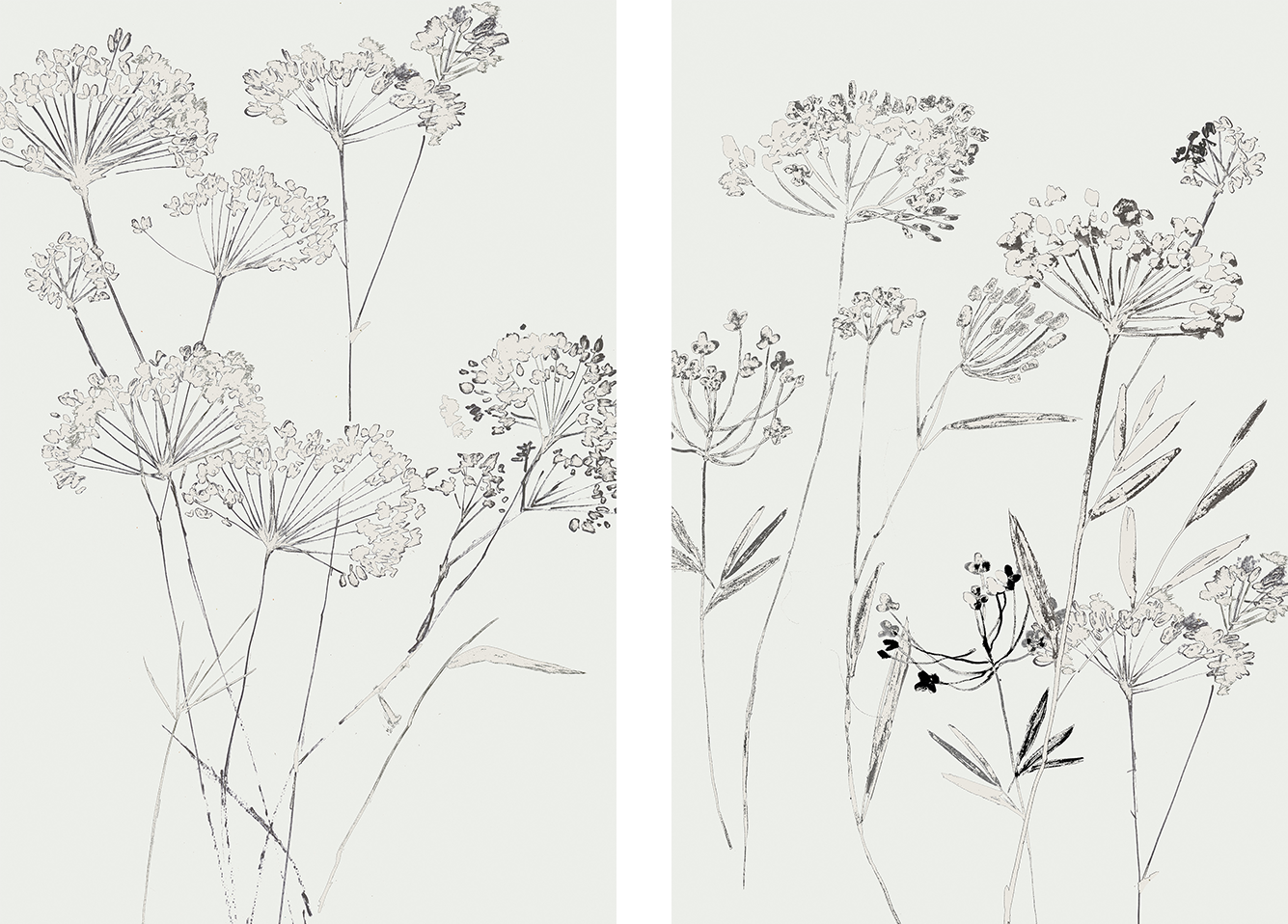 wall-art-print-canvas-poster-framed-White Delicate, Style A & B, Set Of 2 , By Asia Jensen-1