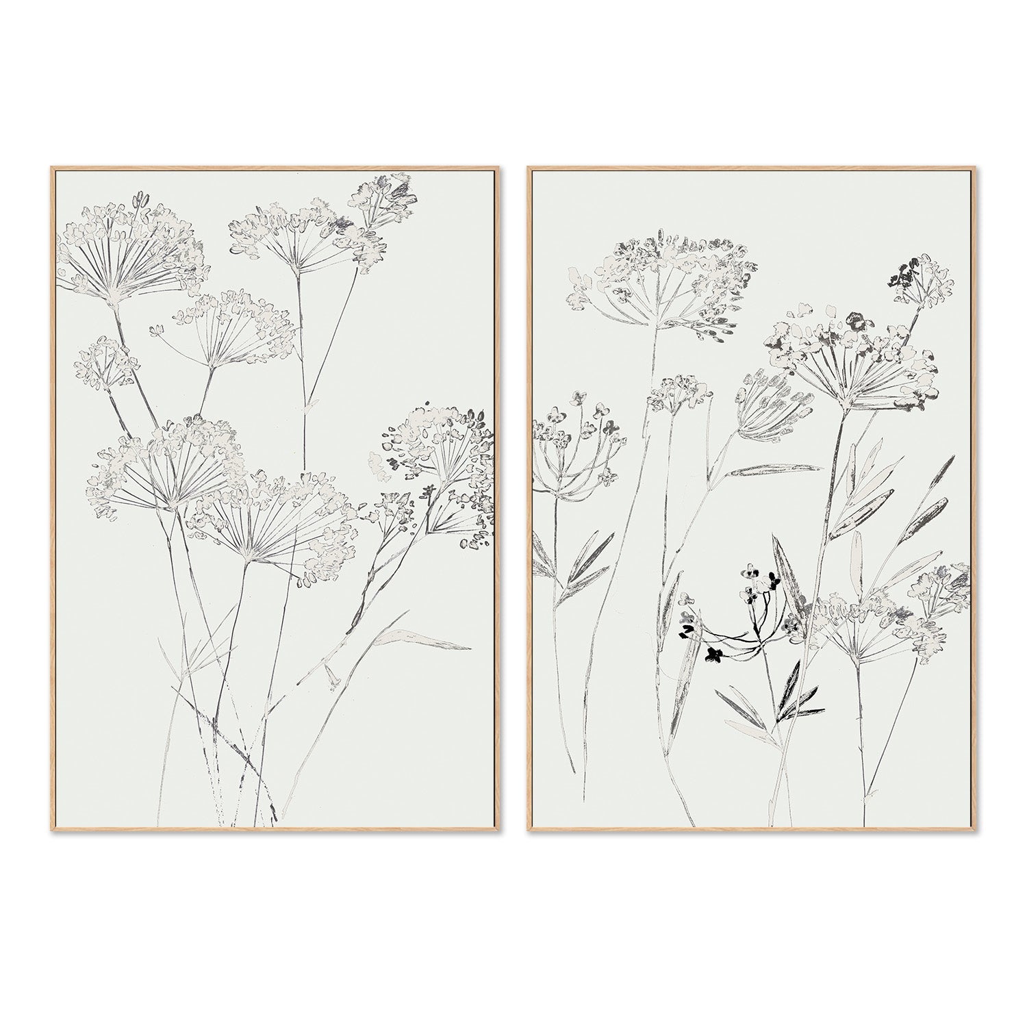 wall-art-print-canvas-poster-framed-White Delicate, Style A & B, Set Of 2 , By Asia Jensen-4