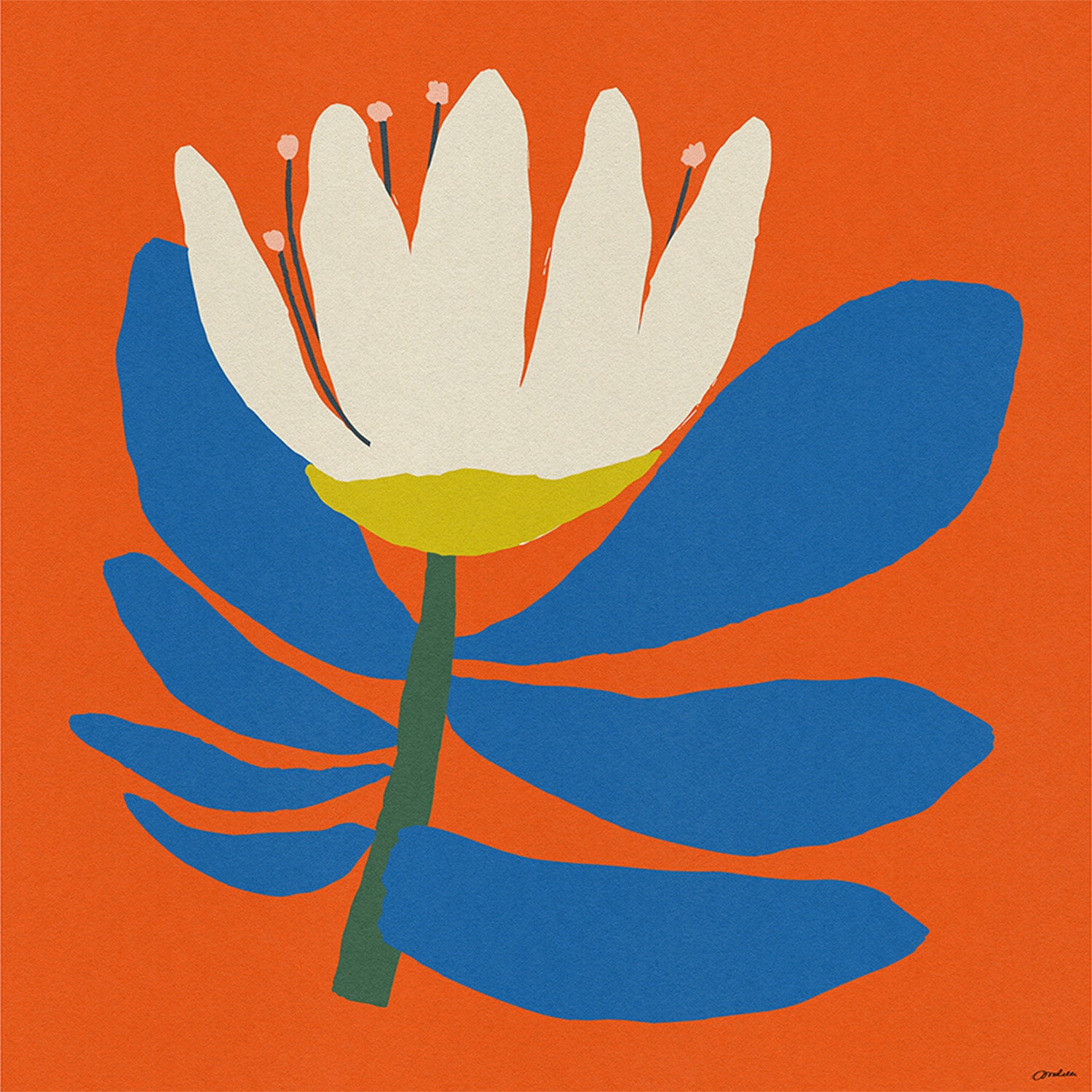 wall-art-print-canvas-poster-framed-White Flower With Blue Leave-1