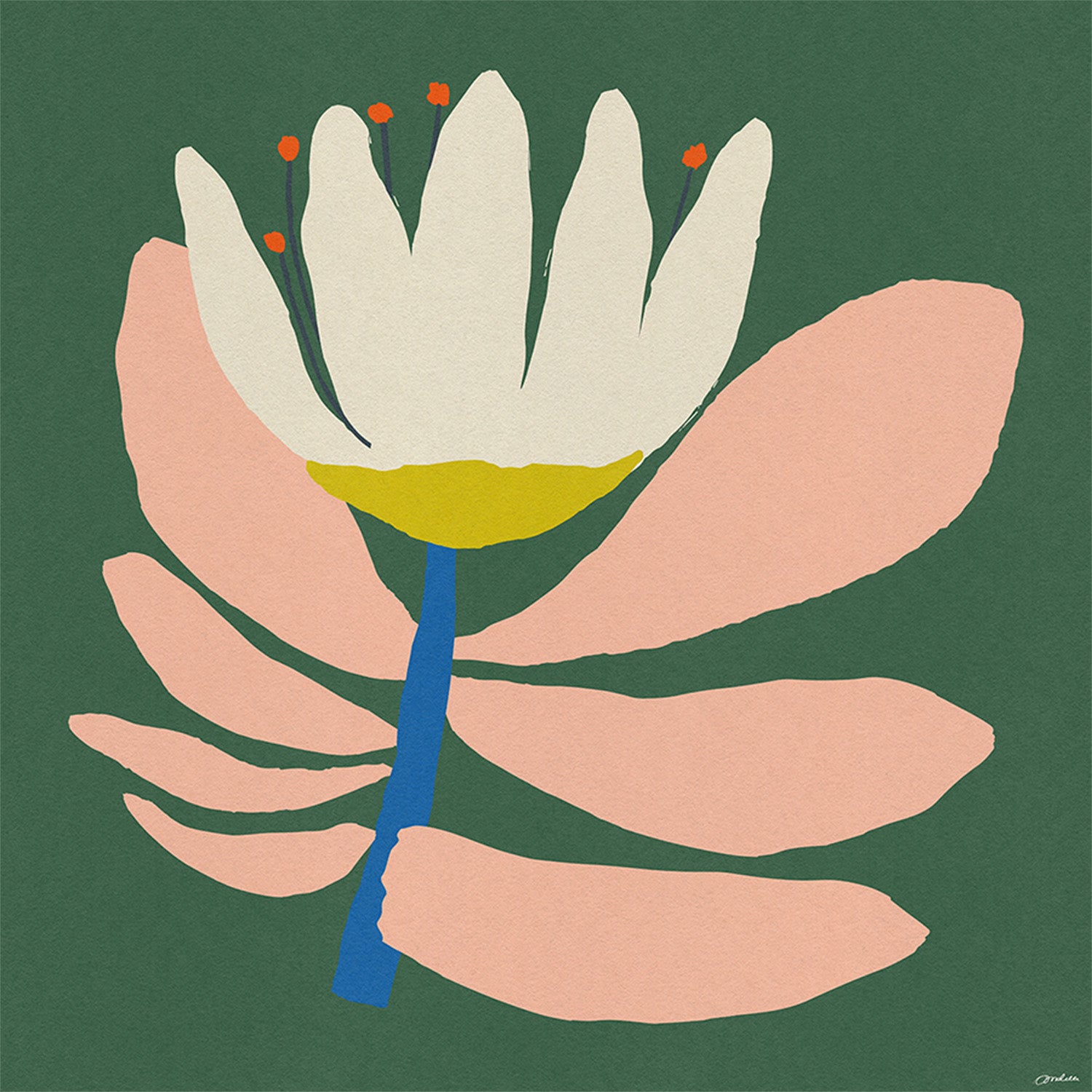 wall-art-print-canvas-poster-framed-White Flower With Pink Leave-1