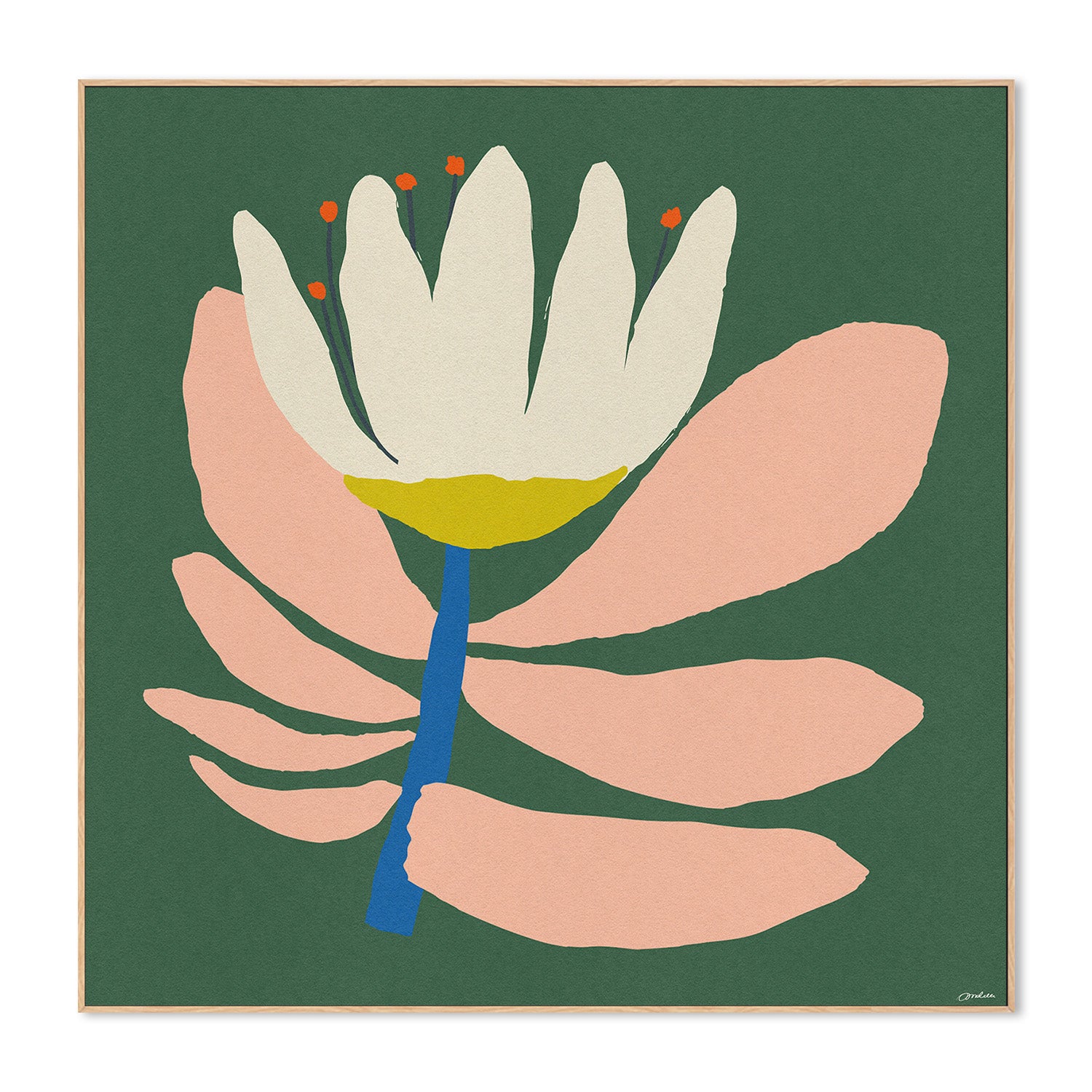 wall-art-print-canvas-poster-framed-White Flower With Pink Leave-4