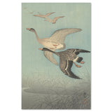wall-art-print-canvas-poster-framed-White-Fronted Geese In Flight, 1925-36, By Ohara Koson-by-Gioia Wall Art-Gioia Wall Art