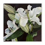wall-art-print-canvas-poster-framed-White Lilies , By Hsin Lin-GIOIA-WALL-ART