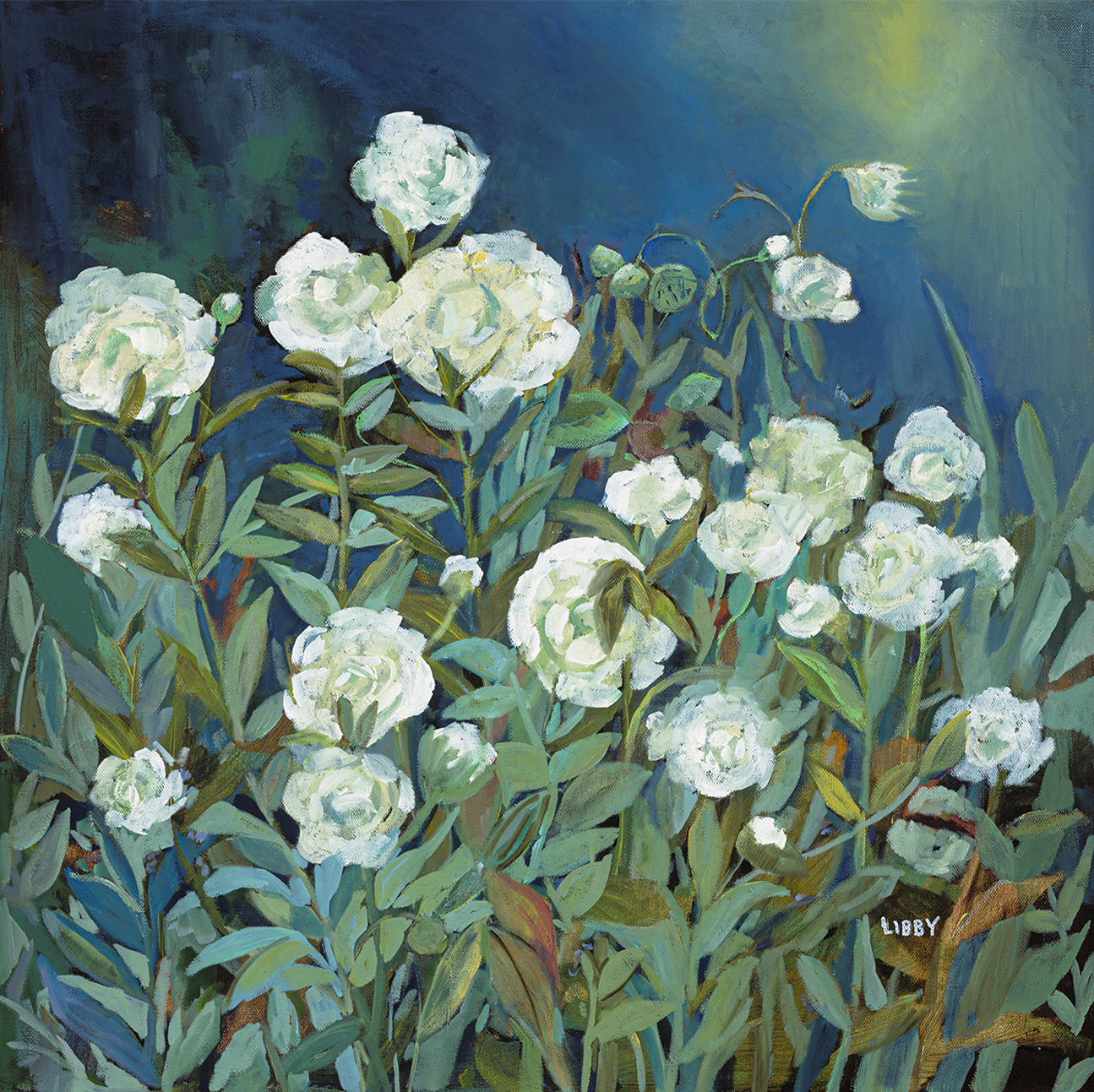 wall-art-print-canvas-poster-framed-White Roses , By Libby Anderson-1