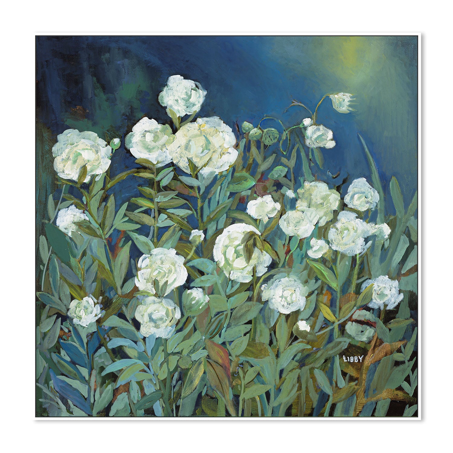 wall-art-print-canvas-poster-framed-White Roses , By Libby Anderson-5