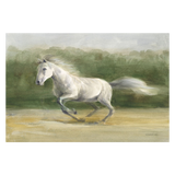 White Stallion , By Danhui Nai