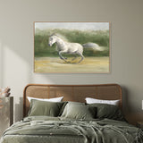 wall-art-print-canvas-poster-framed-White Stallion , By Danhui Nai-GIOIA-WALL-ART