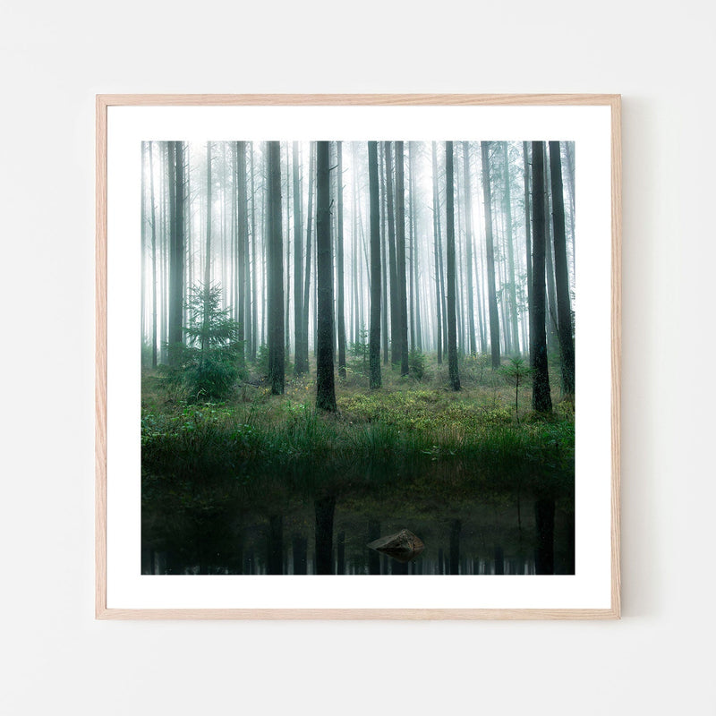 wall-art-print-canvas-poster-framed-Winter Forest , By Christian Lindsten-GIOIA-WALL-ART
