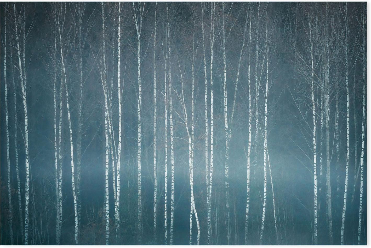 wall-art-print-canvas-poster-framed-Winter Mood , By Christian Lindsten-GIOIA-WALL-ART