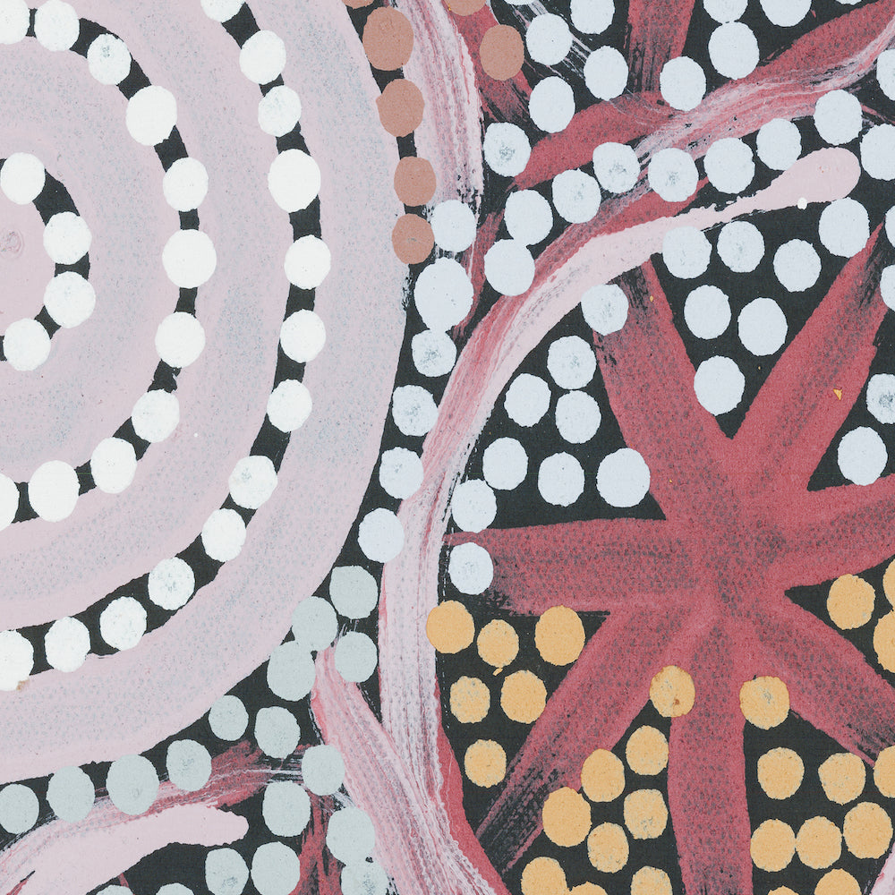 Woman’s Ceremony Dreaming Style A By Michelle Possum Nungurrayi Aboriginal Painting Print