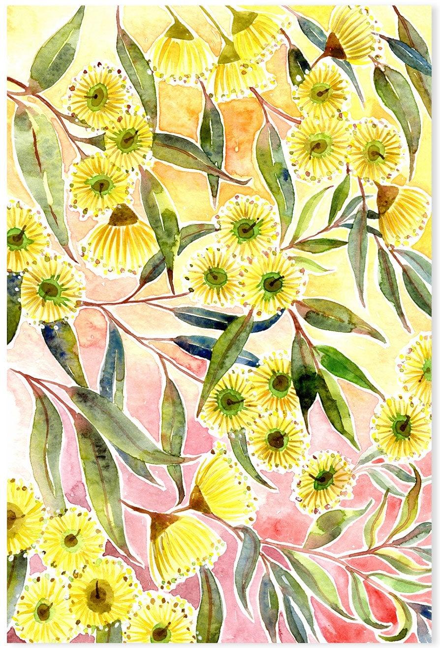 Yellow Gum Blossoms