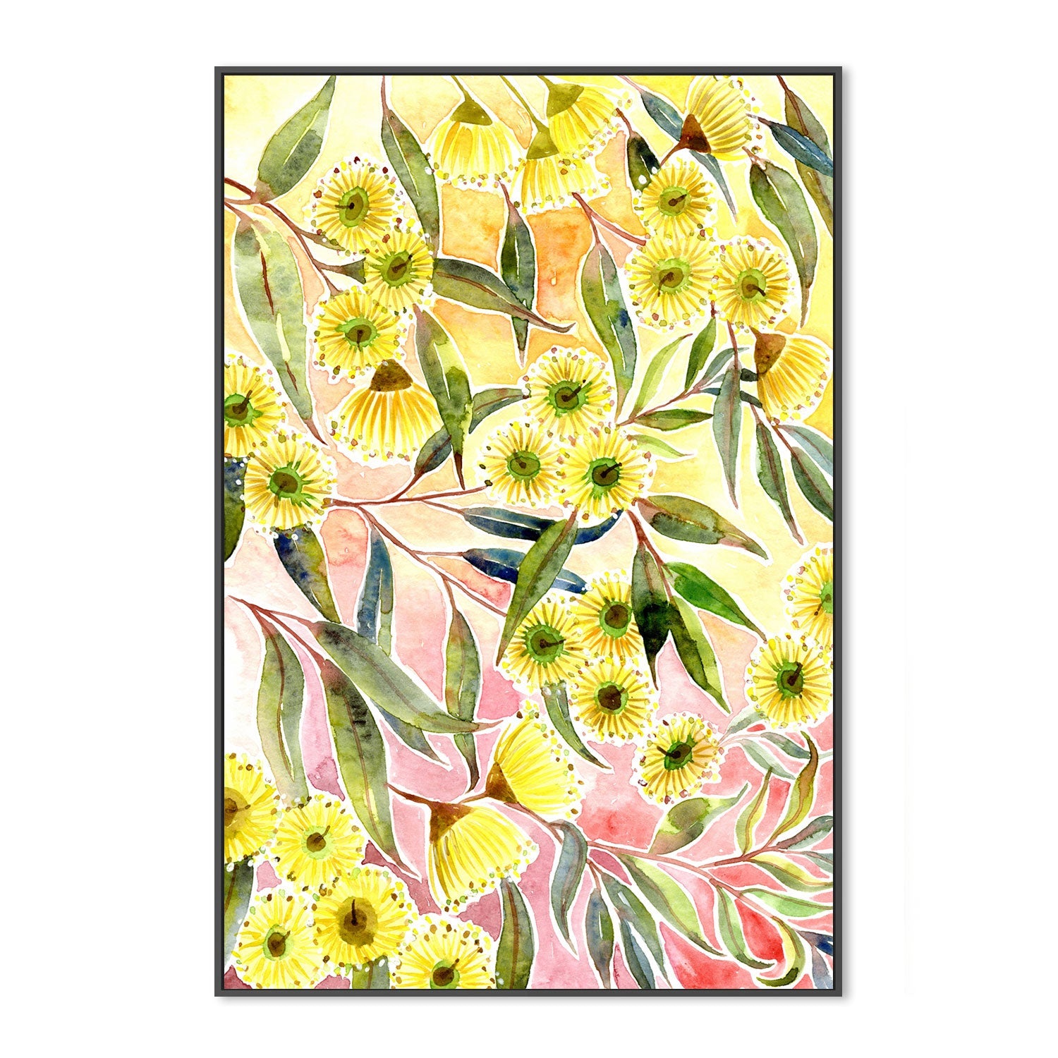 Yellow Gum Blossoms