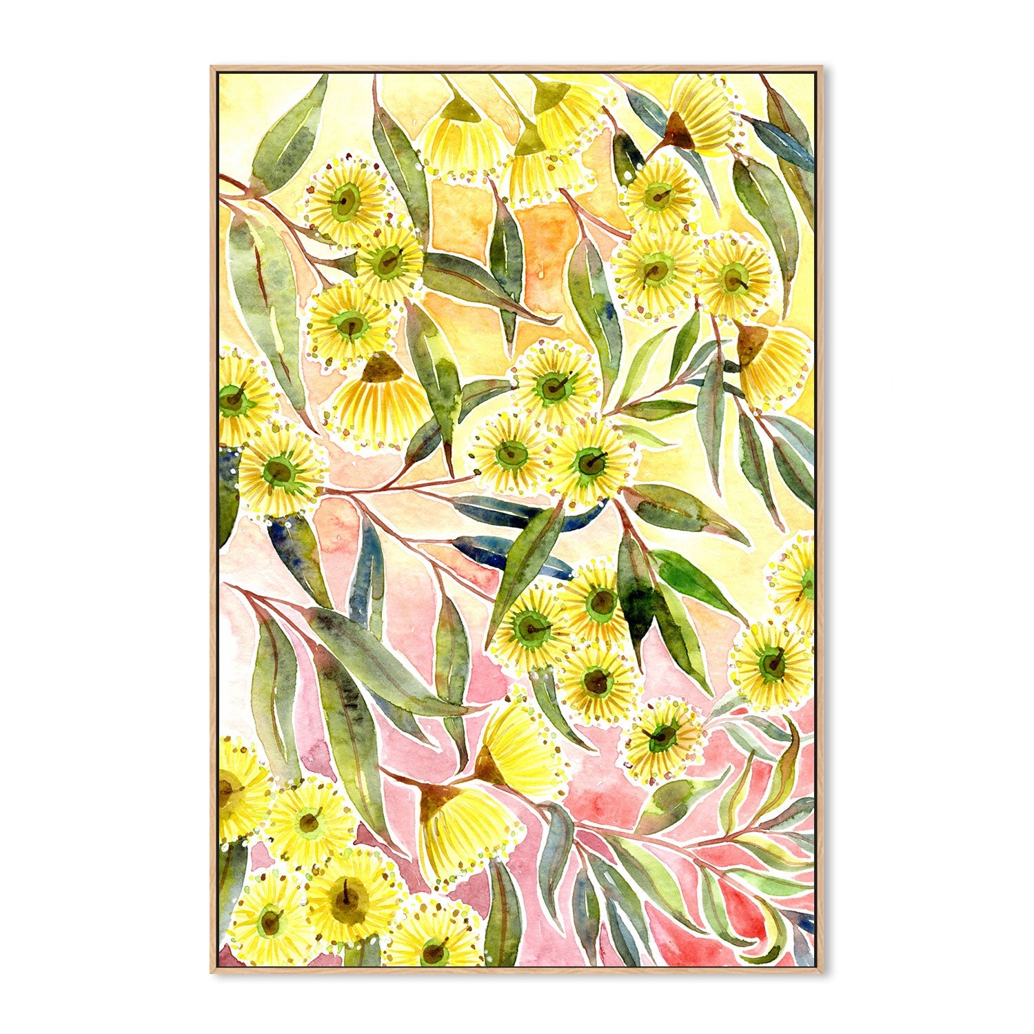 Yellow Gum Blossoms