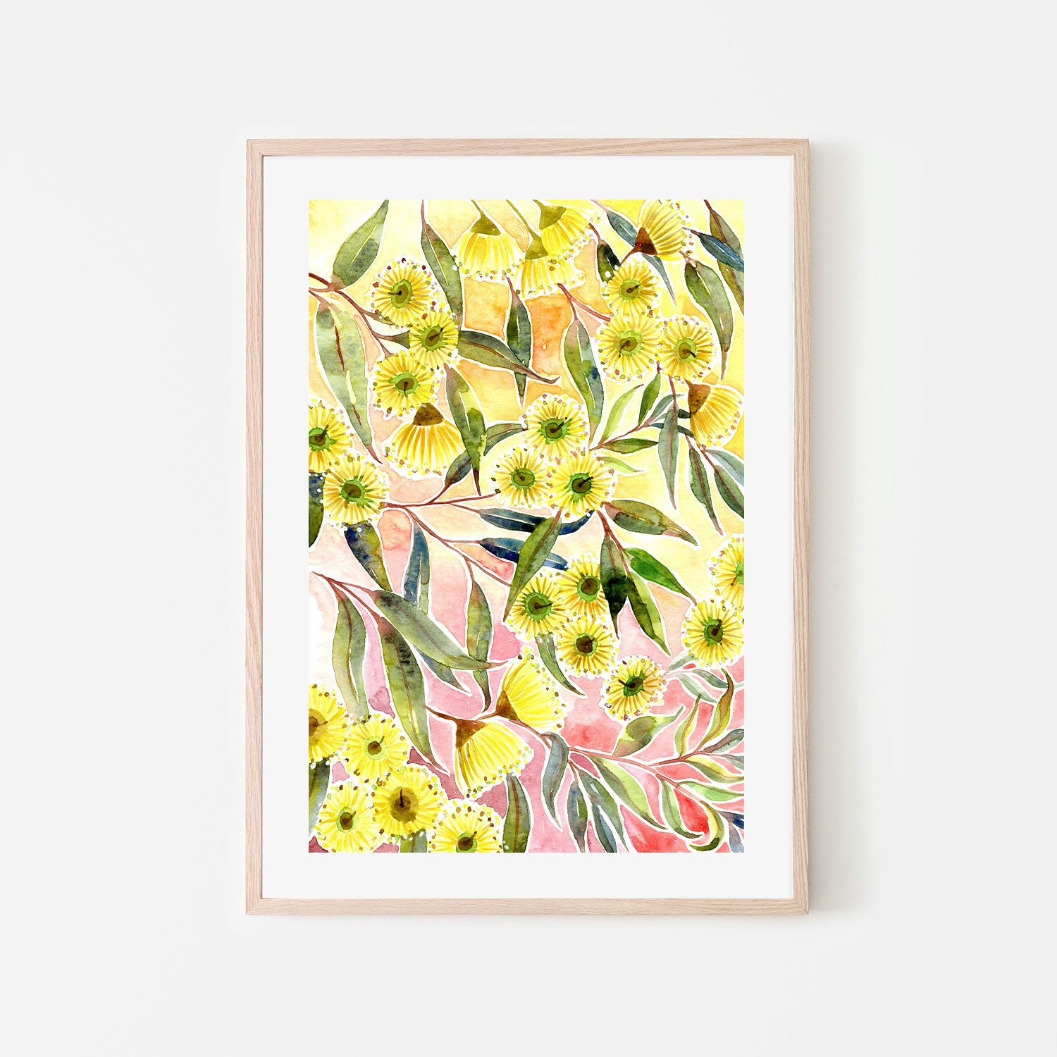Yellow Gum Blossoms