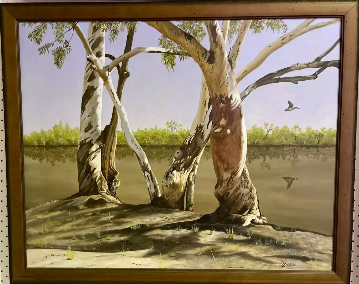 The Gums of Paroo River
