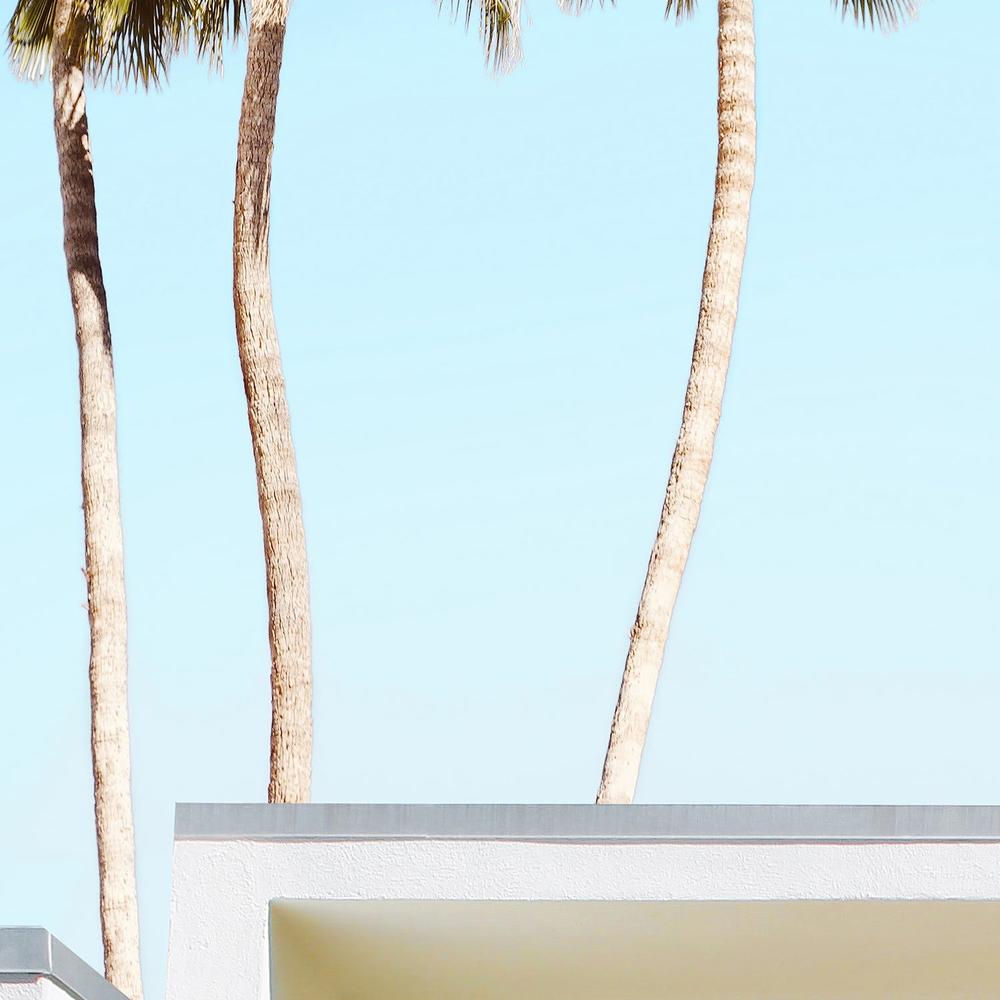 Welcome To Palm Springs-by-Gal Pittel-wall-art-print-canvas-poster-framed-Gioia