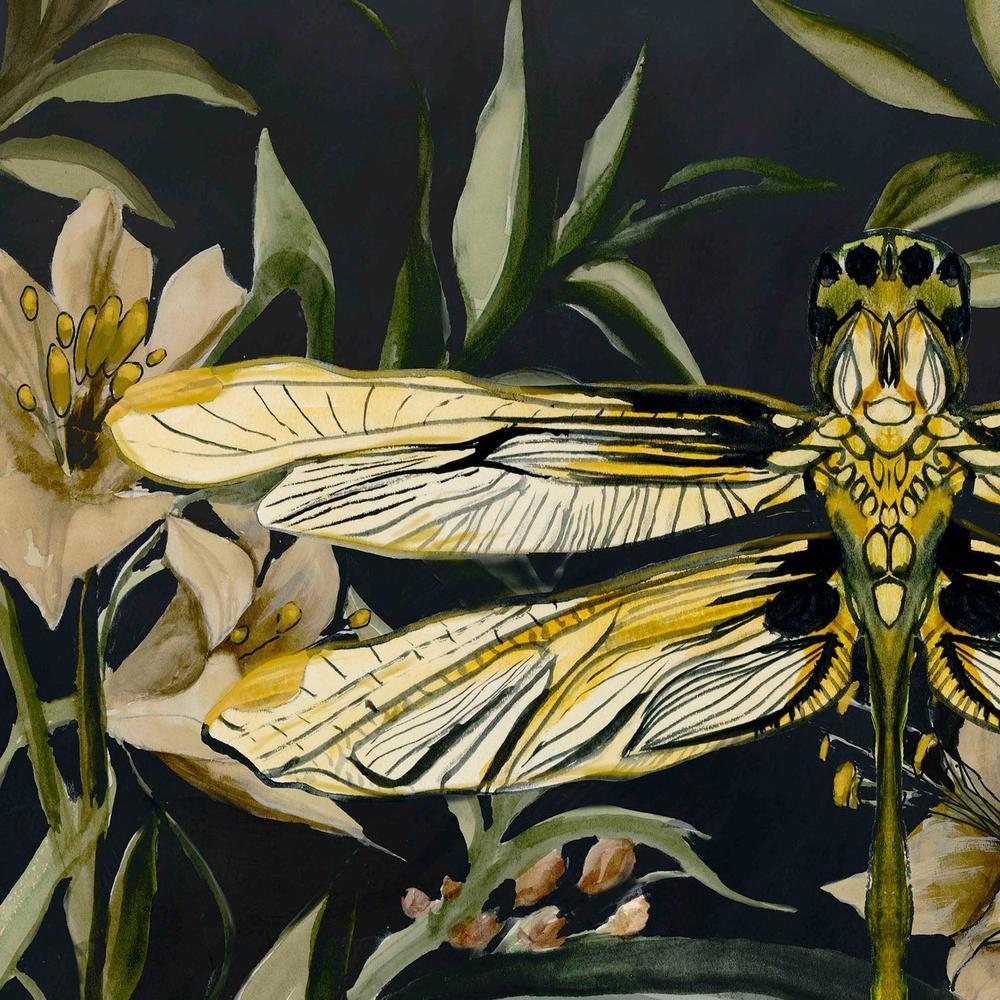 Whispers of the Dragonfly-by-Jacob Q-wall-art-print-canvas-poster-framed-Gioia