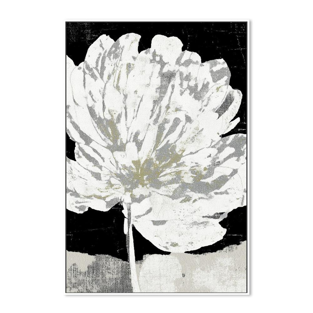 White Peony on Deep Black-by-Chromatic Storm Studio-wall-art-print-canvas-poster-framed-Gioia