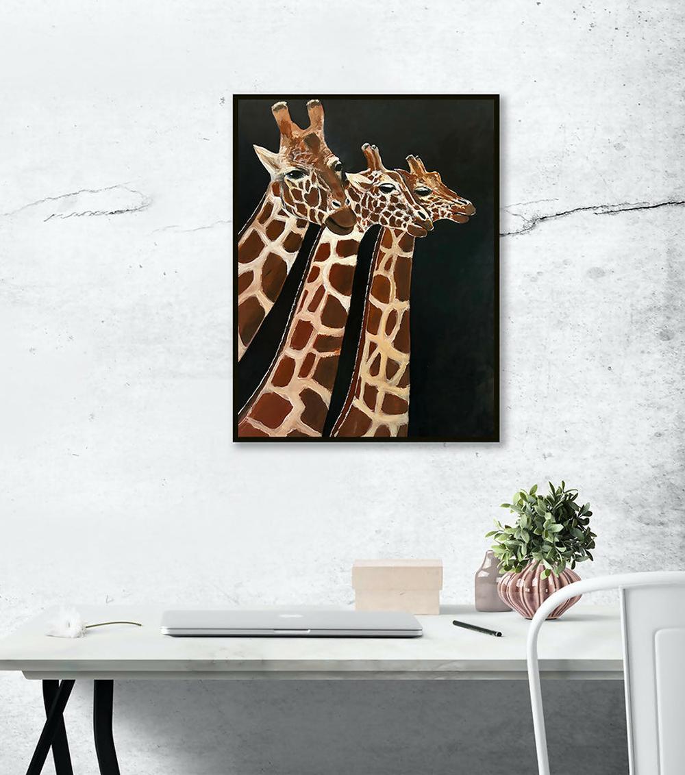 Giraffes at Taronga