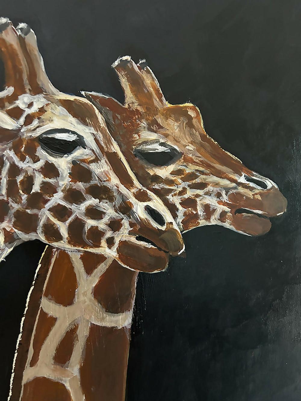 Giraffes at Taronga