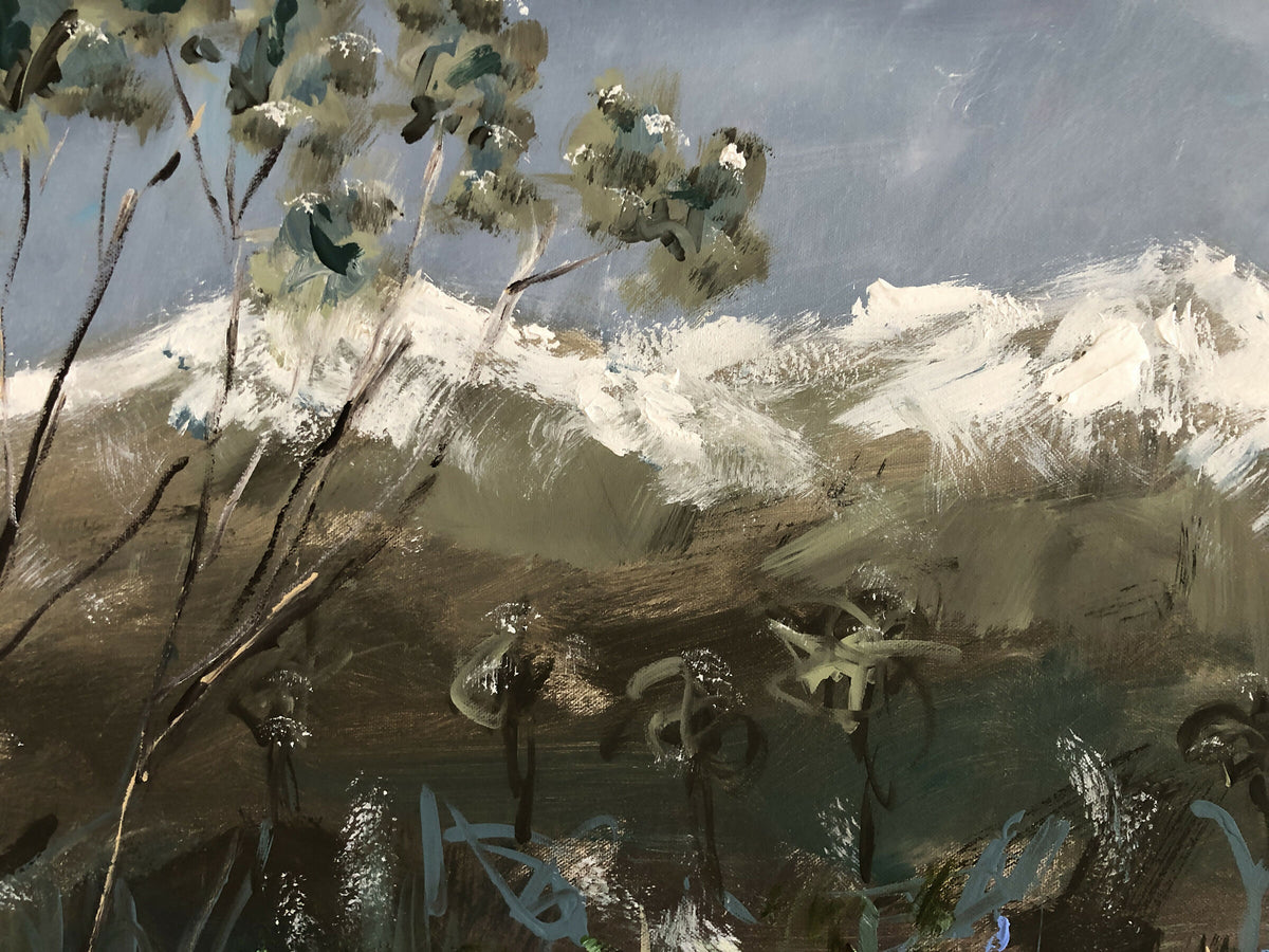 Snowy Mountains Moovements