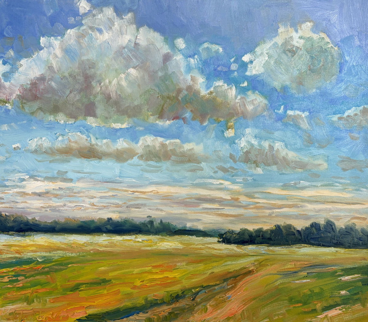 Sky Over Yellow Field