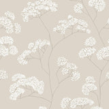 Babies Breath Wallpaper