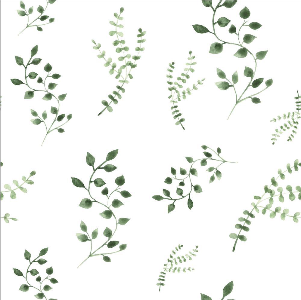 Basic Greenery-wallpaper-eco-friendly-easy-removal-GIOIA-WALL-ART