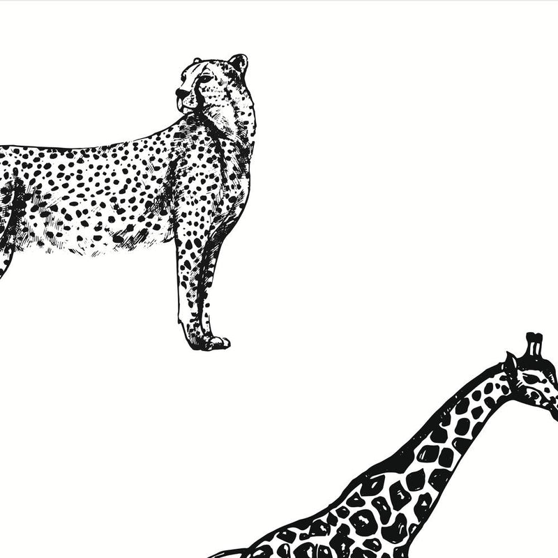 Black and White Animals-wallpaper-eco-friendly-easy-removal-GIOIA-WALL-ART