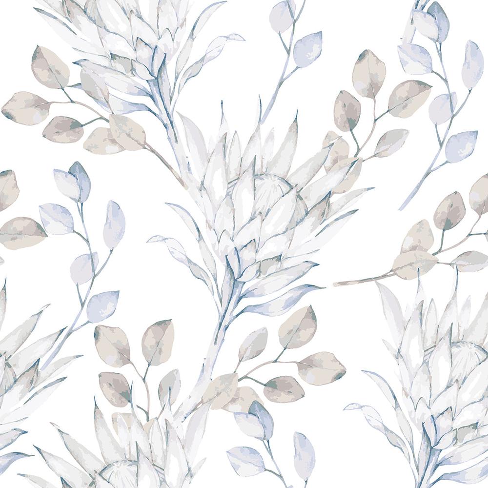 Blue Protea