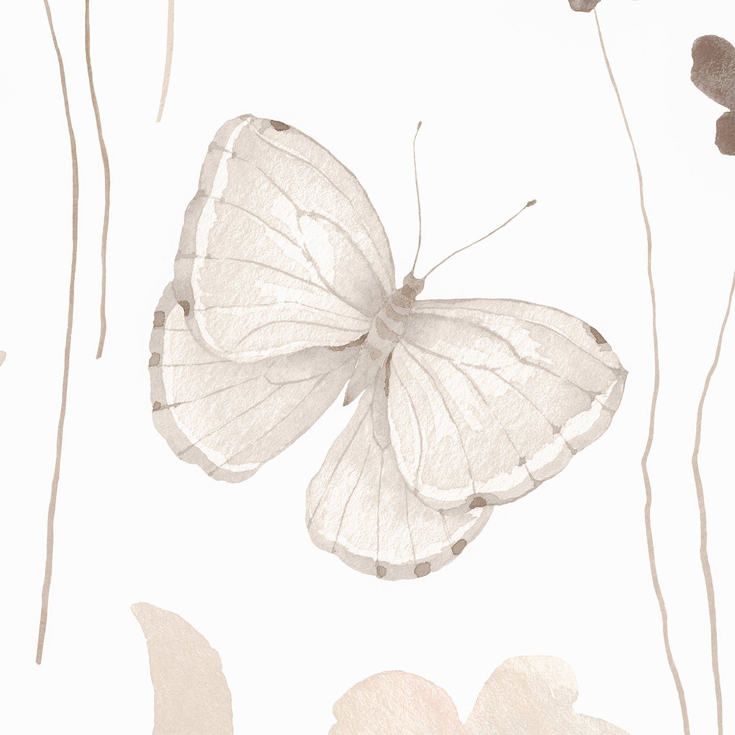 Flowers And Butterflies