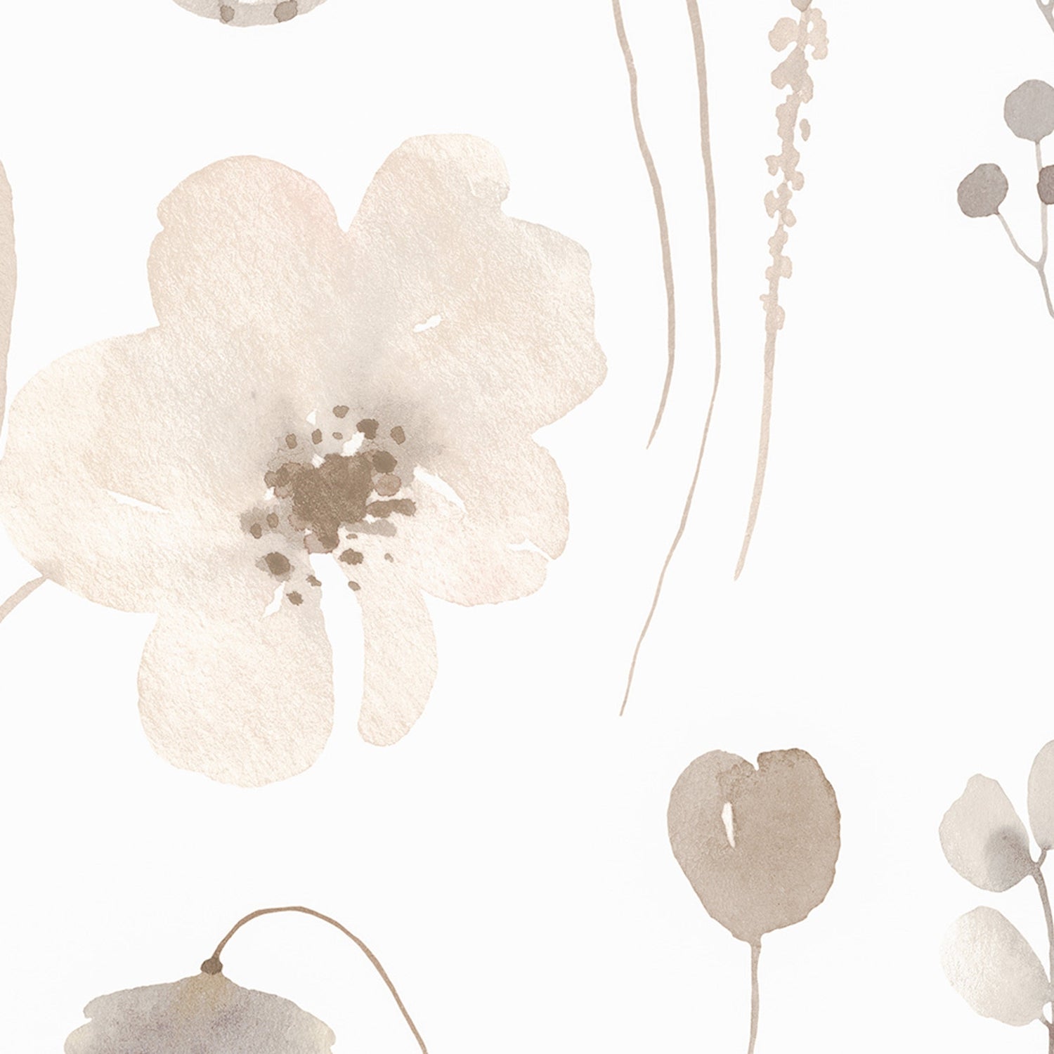 Flowers And Butterflies