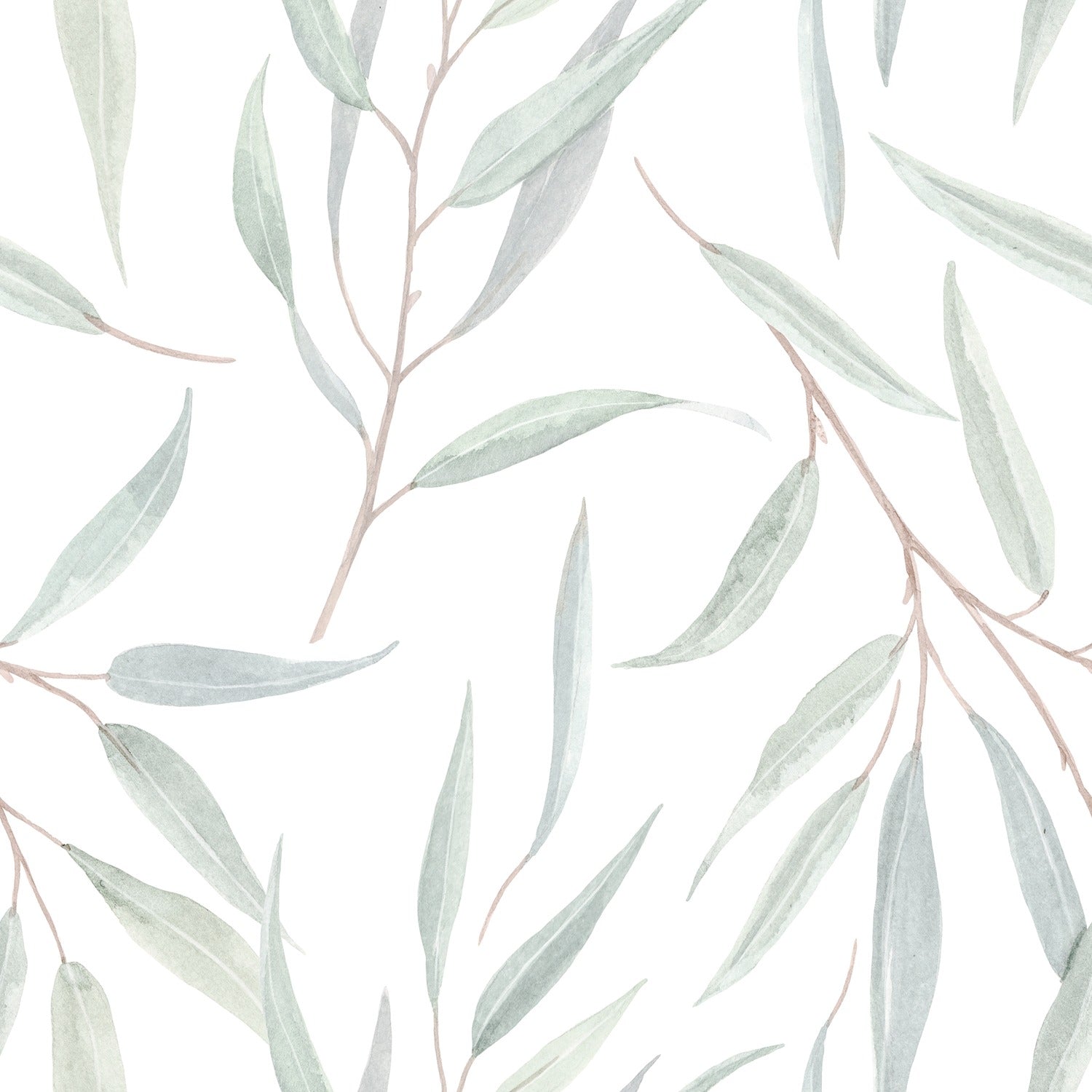 Green Eucalyptus Leaves