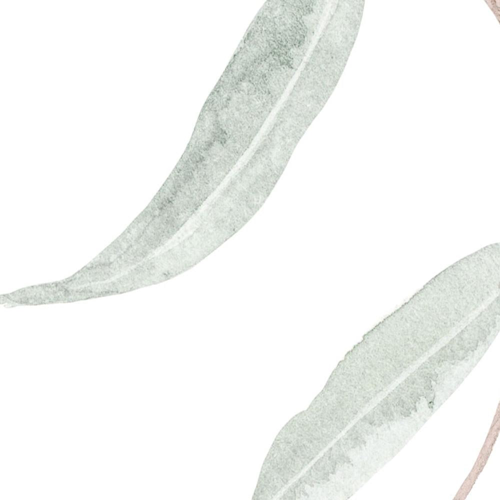 Green Eucalyptus Leaves