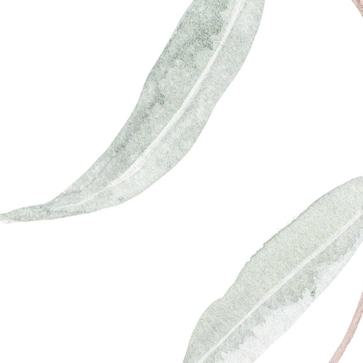 Green Eucalyptus Leaves