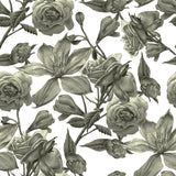 Green Roses-wallpaper-eco-friendly-easy-removal-GIOIA-WALL-ART